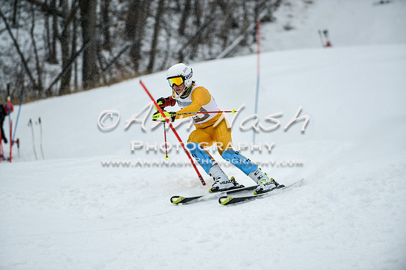 2015 December 18 alpine DSC_9308