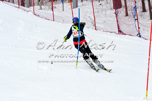 2016 January 22 alpine DSC_1159