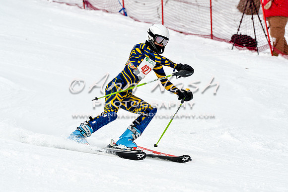 2016 January 22 alpine DSC_1738