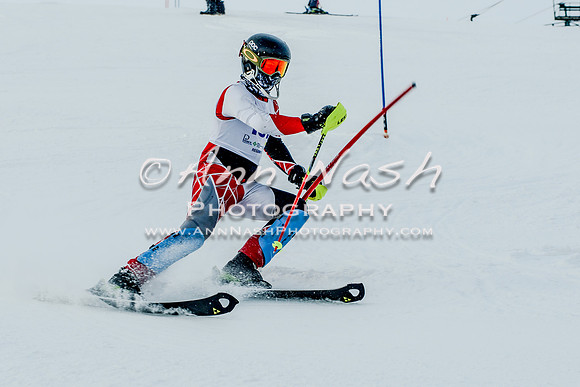 2016 February 14 alpine DSC_7233-2