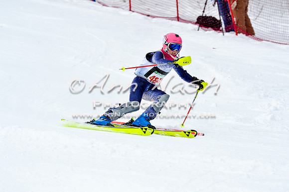 2016 January 22 alpine DSC_1268