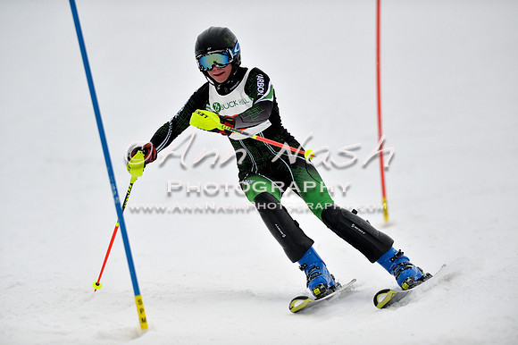 alpine_2015-01-22_12-17-58_DSC_1498_©AnnNashPhotographyLLC_2015
