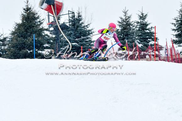 2016 January 22 alpine DSC_0797