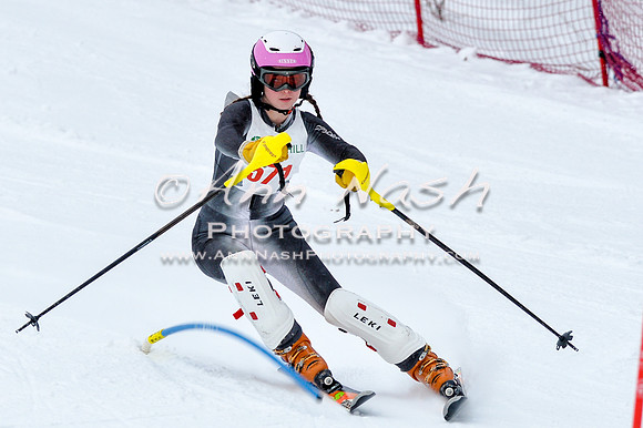 2016 January 22 alpine DSC_0755
