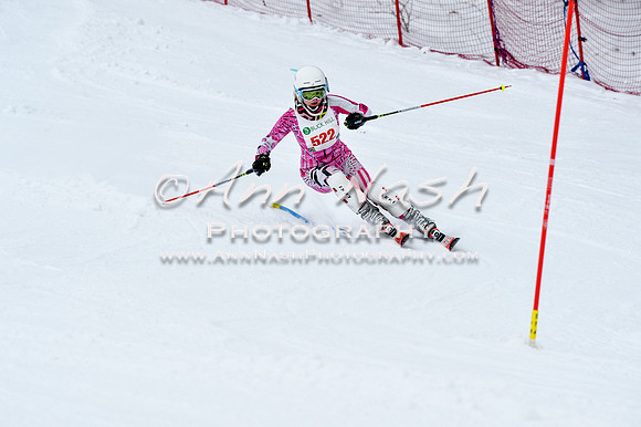 2016 January 22 alpine DSC_0911