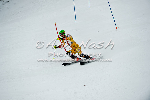 2015 December 18 alpine DSC_9376