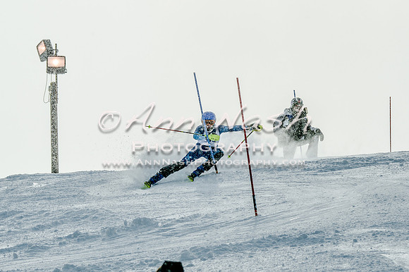 2016 February 14 alpine DSC_7301