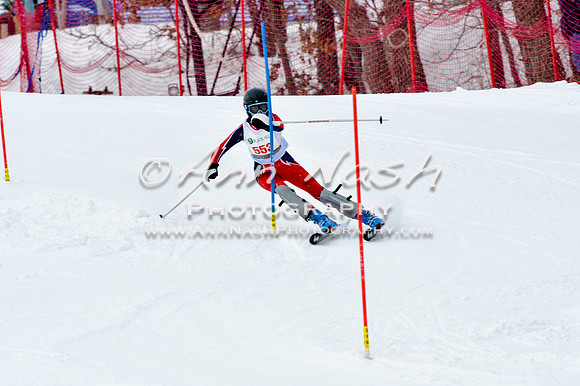 2016 January 22 alpine DSC_1128