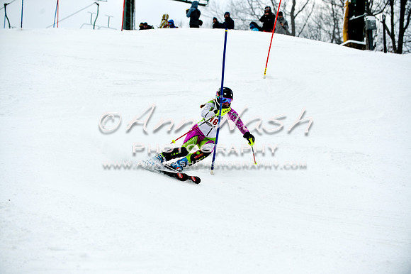 2015 December 18 alpine DSC_9629