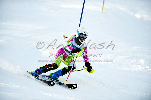 2015 December 18 alpine DSC_0119