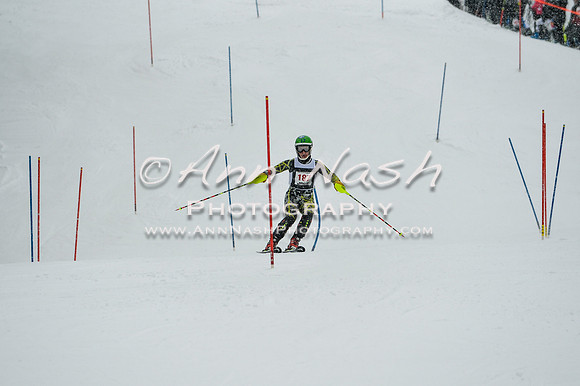 2015 December 18 alpine DSC_9183
