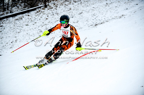 2015 December 18 alpine DSC_9849