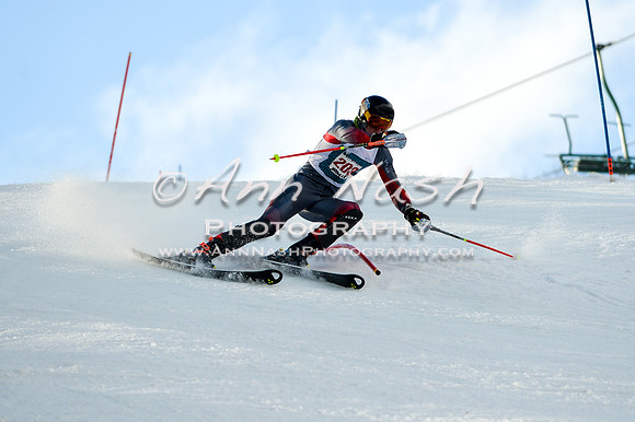 2015 December 18 alpine DSC_0142