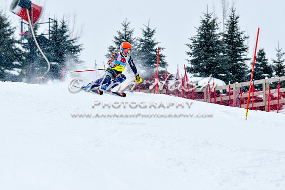 2016 January 22 alpine DSC_0640