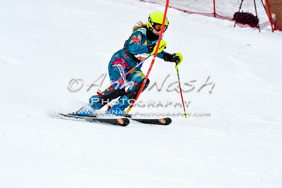 2016 January 22 alpine DSC_1470