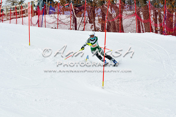 2016 January 22 alpine DSC_1823