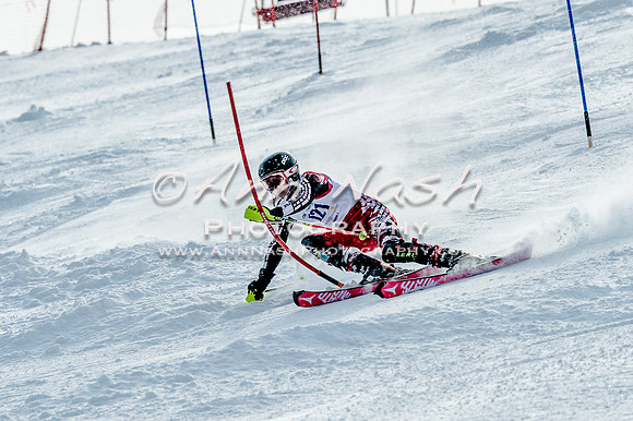 2016 February 14 alpine DSC_7377