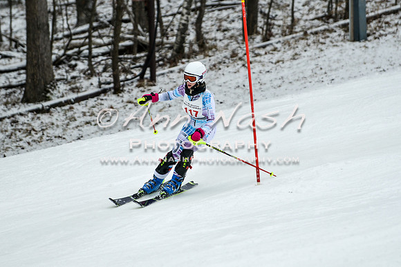2015 December 18 alpine DSC_9483