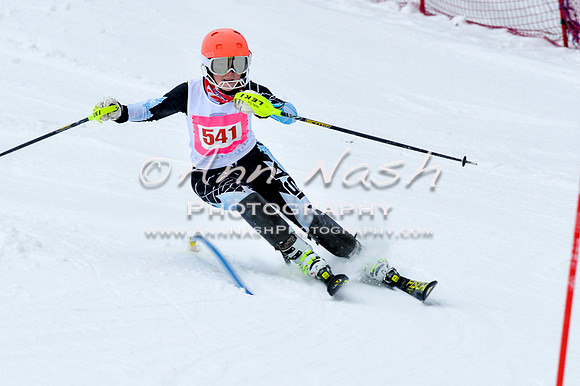 2016 January 22 alpine DSC_0719