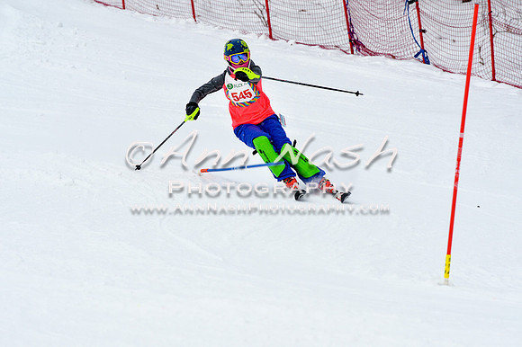 2016 January 22 alpine DSC_1506