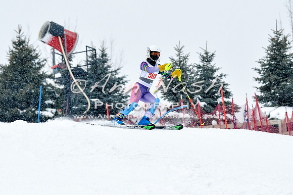 2016 January 22 alpine DSC_1093