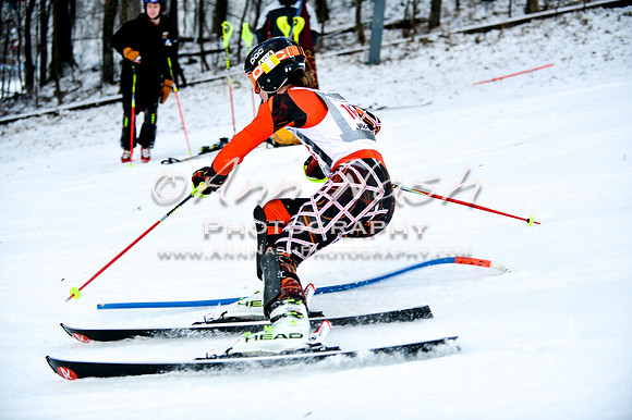 2015 December 18 alpine DSC_9784