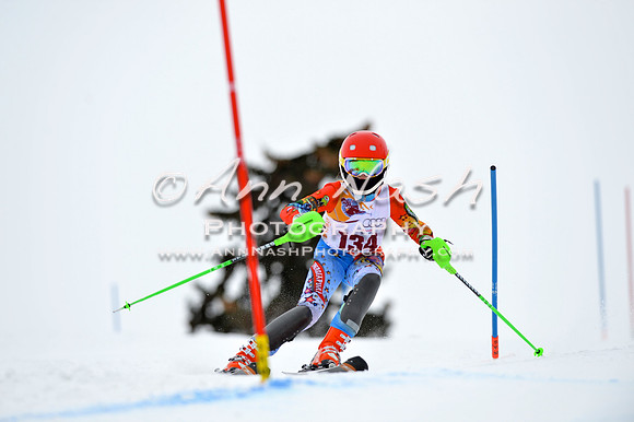 alpine_2015-02-14_12-57-16_DSC_7726_©AnnNashPhotographyLLC_2015