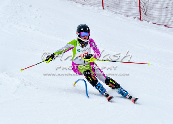 2016 January 22 alpine DSC_0616