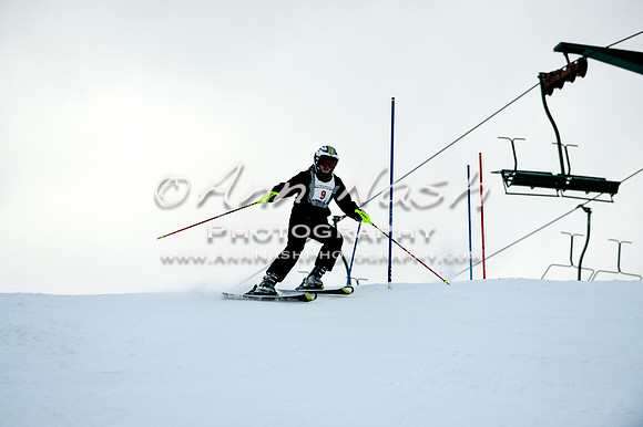 2015 December 18 alpine DSC_9724