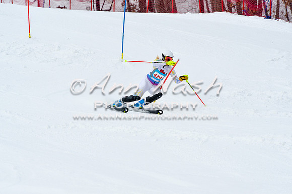 2016 January 22 alpine DSC_1248