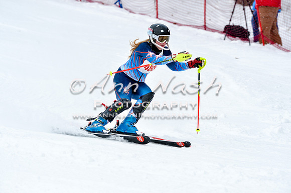 2016 January 22 alpine DSC_1040