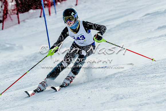 2016 February 14 alpine DSC_6783
