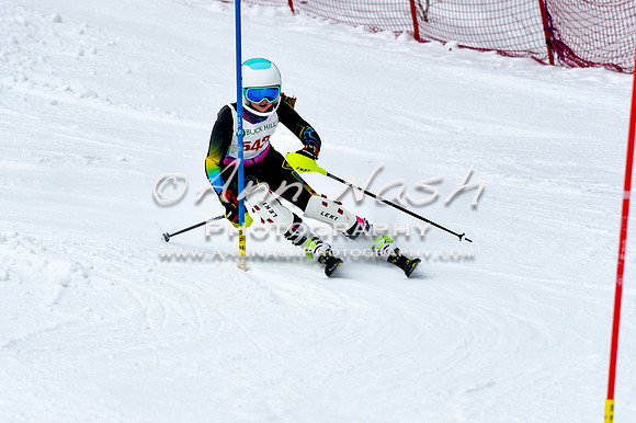 2016 January 22 alpine DSC_0919