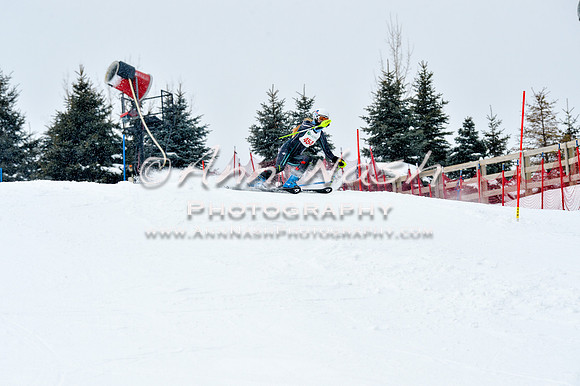 2016 January 22 alpine DSC_1220