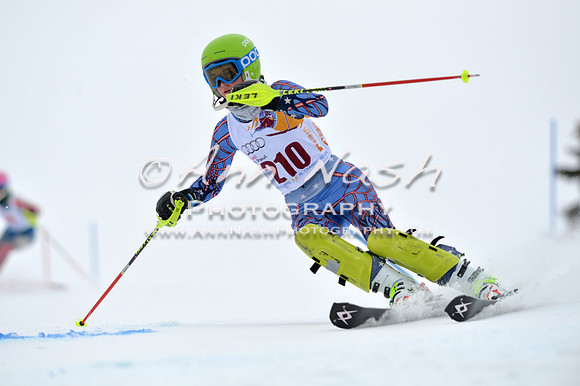 alpine_2015-02-14_13-31-18_DSC_8370_©AnnNashPhotographyLLC_2015