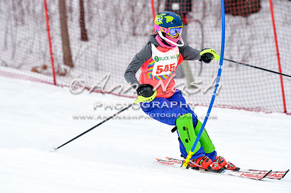 2016 January 22 alpine DSC_1510