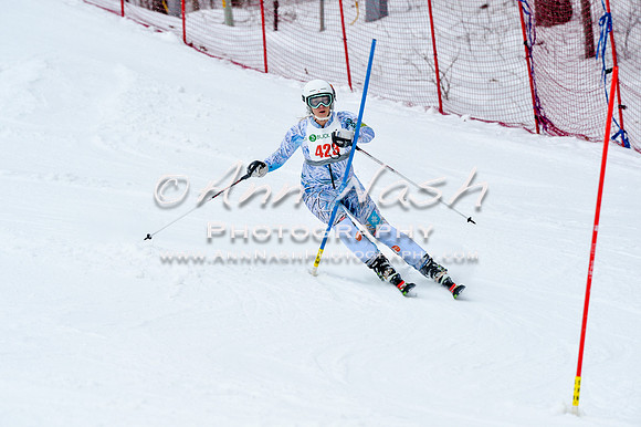 2016 January 22 alpine DSC_1002
