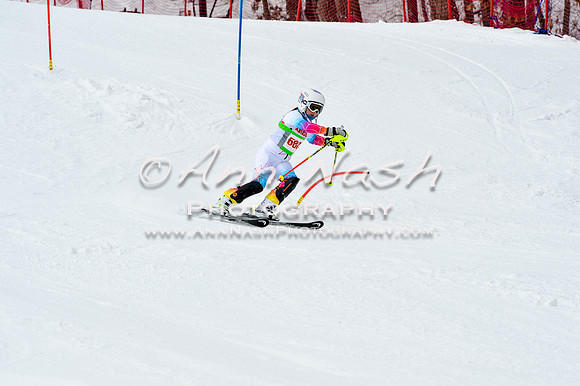 2016 January 22 alpine DSC_1958