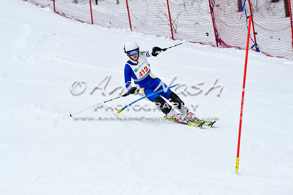 2016 January 22 alpine DSC_0984