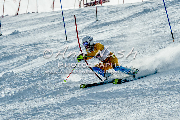 2016 February 14 alpine DSC_7330