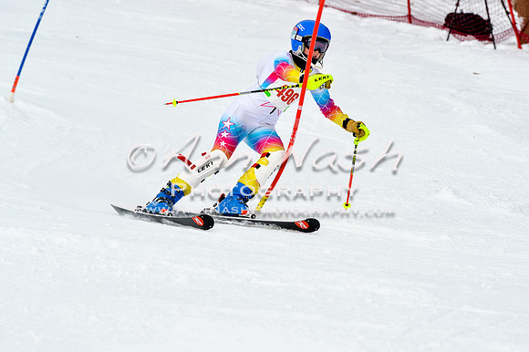 2016 January 22 alpine DSC_1630