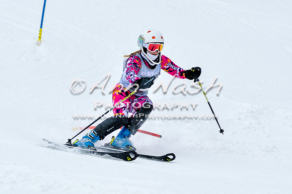 2016 January 22 alpine DSC_0735