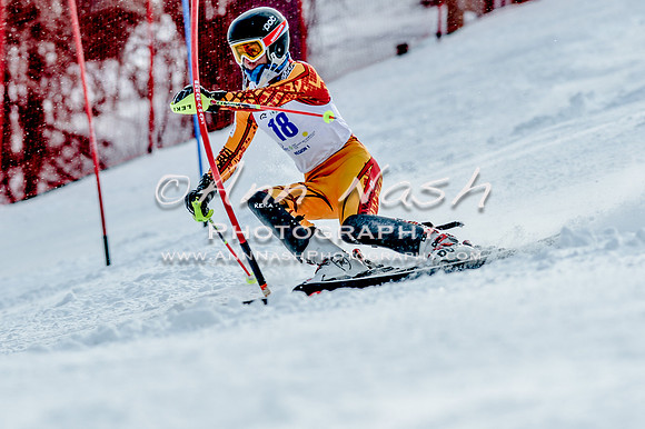 2016 February 14 alpine DSC_7045