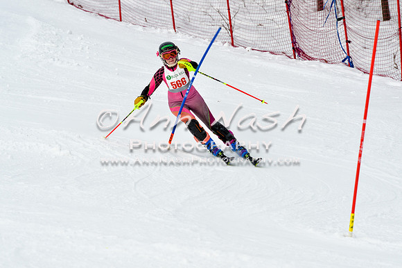 2016 January 22 alpine DSC_1692