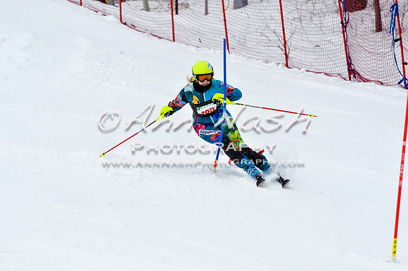 2016 January 22 alpine DSC_1468