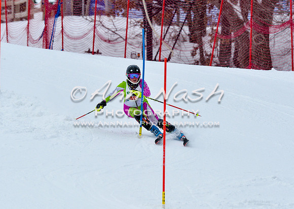 2016 January 22 alpine DSC_0611