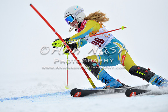 alpine_2015-02-14_13-33-01_DSC_8401_©AnnNashPhotographyLLC_2015