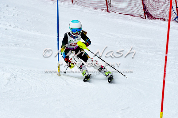 2016 January 22 alpine DSC_0920