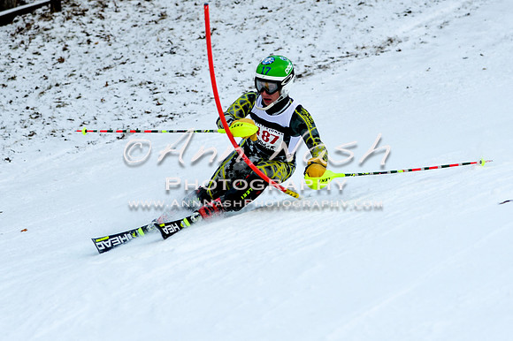 2015 December 18 alpine DSC_9929