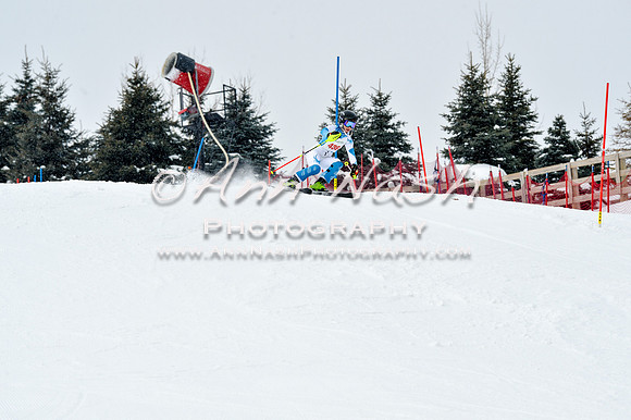 2016 January 22 alpine DSC_1587